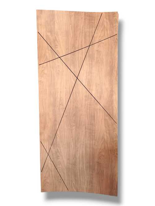 WhatsApp Image 2025-08-27 at 10.05.08 PM (2) (1) وش باب مصفح 2169 (S) - الصورة 1