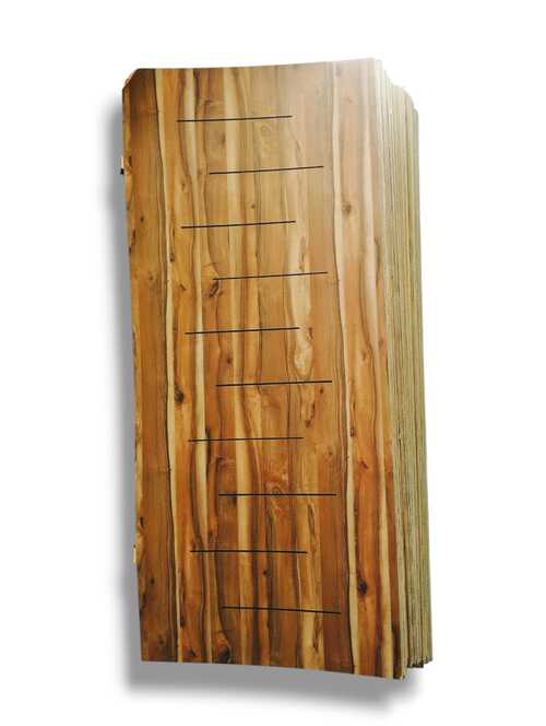 WhatsApp Image 2025-08-31 at 3.22.42 PM (1) وش باب مصفح - 2003(S) - الصورة 1